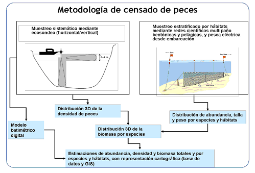 Esquema del mtodo de censado de poblaciones cticas en un embalse